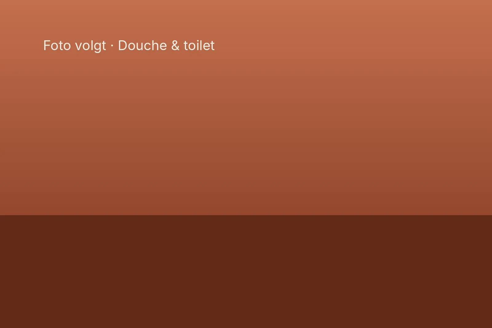 Badkamer met douche en toilet